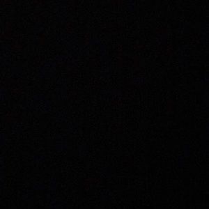 Meet your Posher, Bribrittney